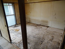 �s�p�i�@�p���������@�Еt��